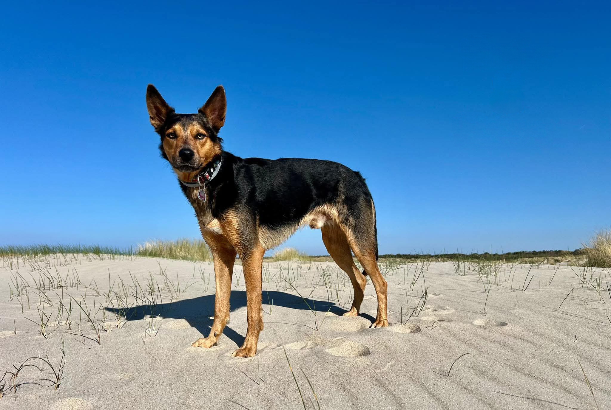 Meadowfield Funky Meadowfield Funky