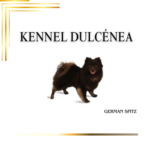 Lorraine Wedlog Lorraine Wedlog