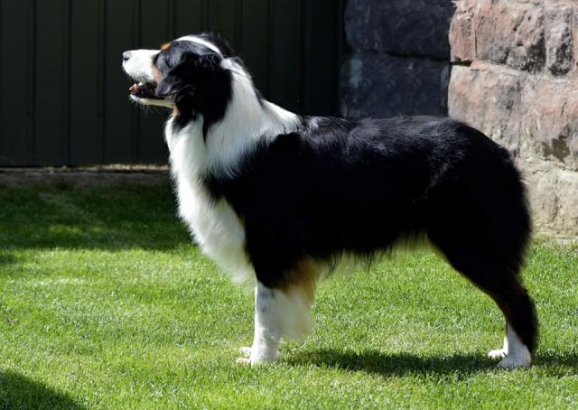 Fhf Red Rock You've Gotta Pay To Play Fhf Red Rock You've Gotta Pay To Play