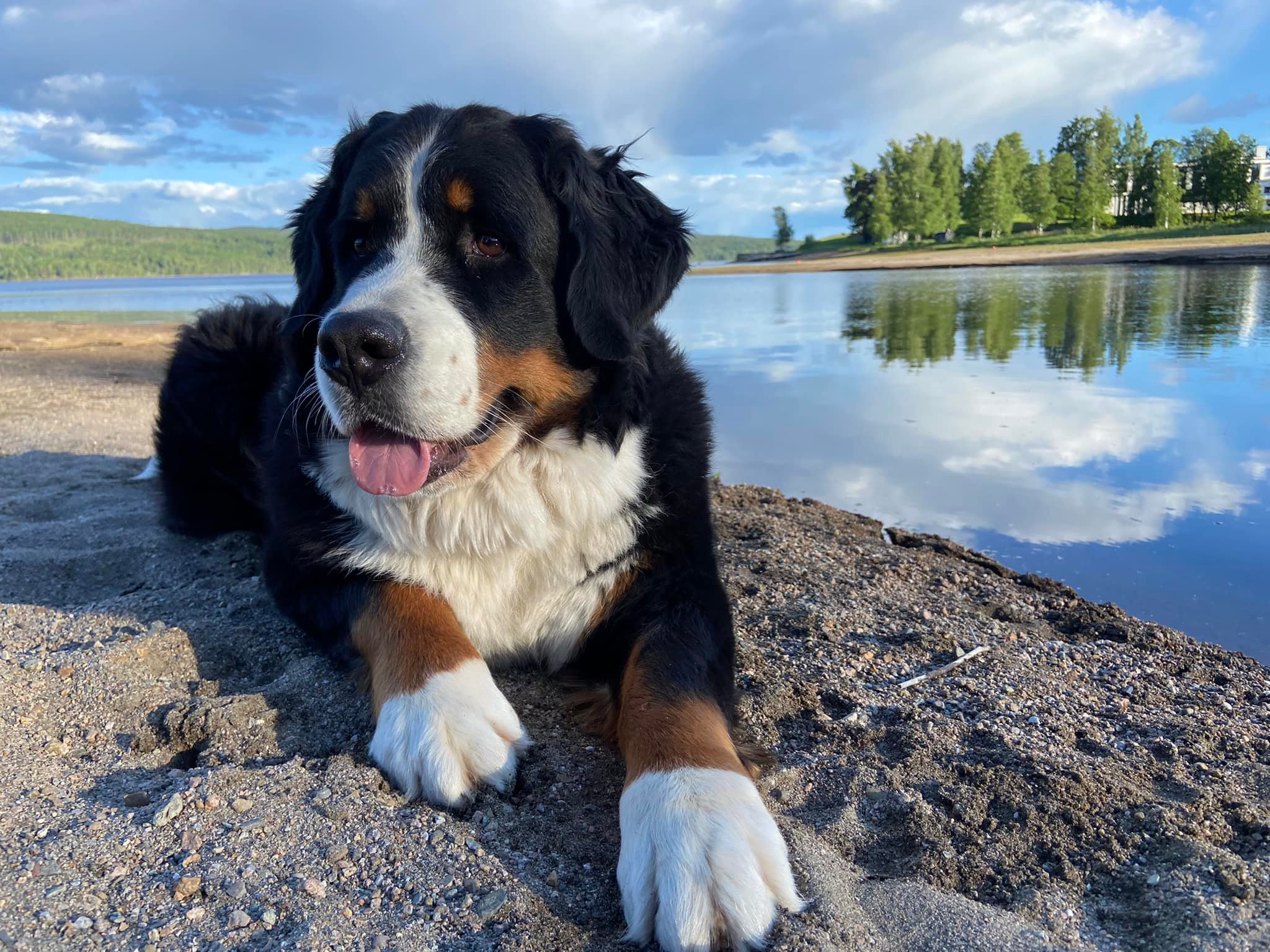 Hubba Bubba's Hubba Bubba's