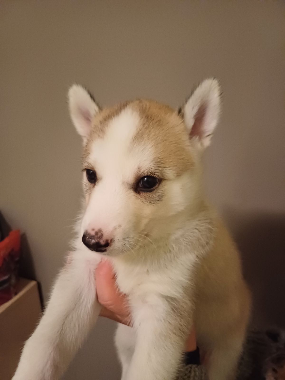 M&M' Flint M&M' Flint