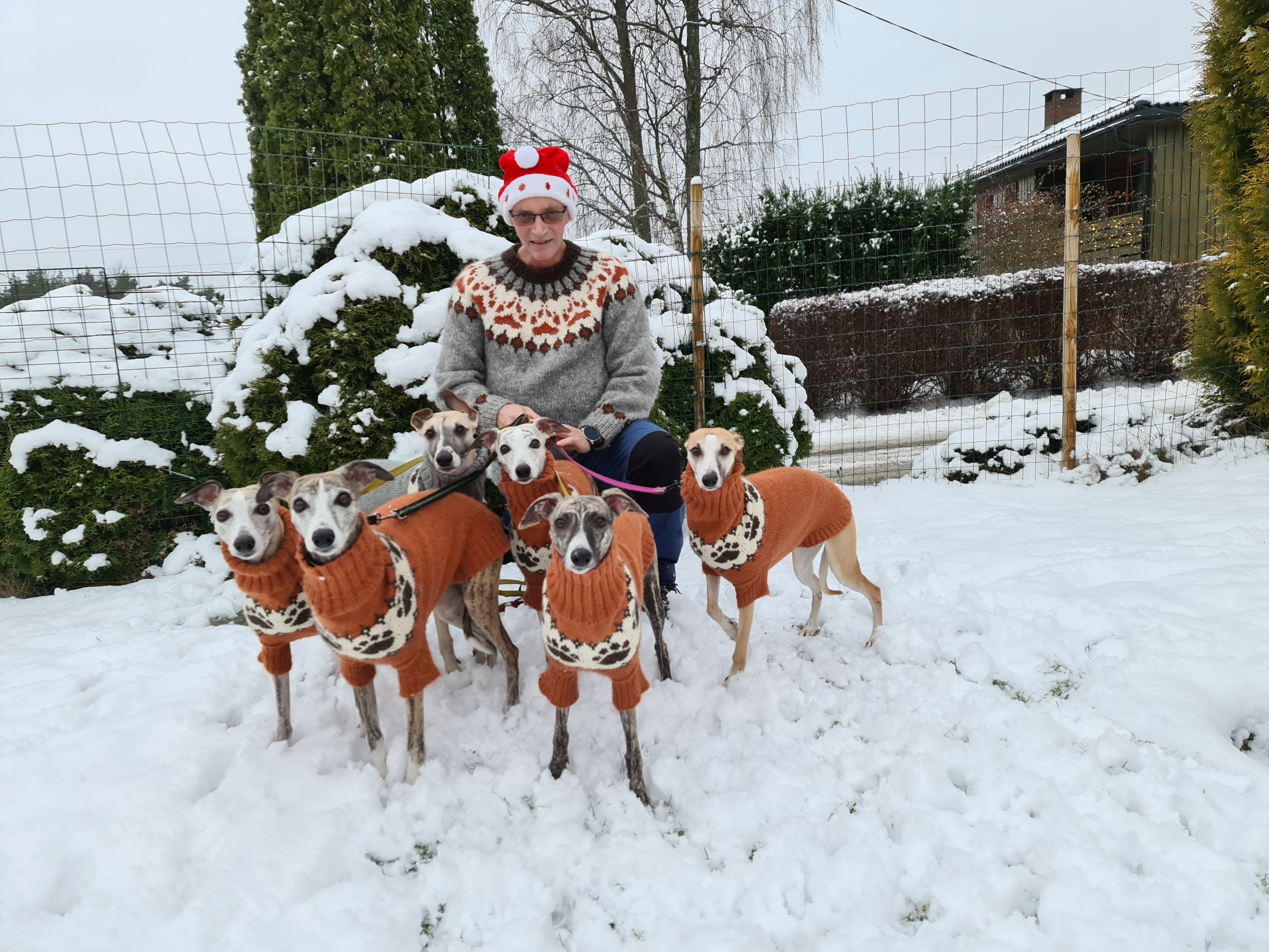 Arnulf Eliseussen Arnulf Eliseussen