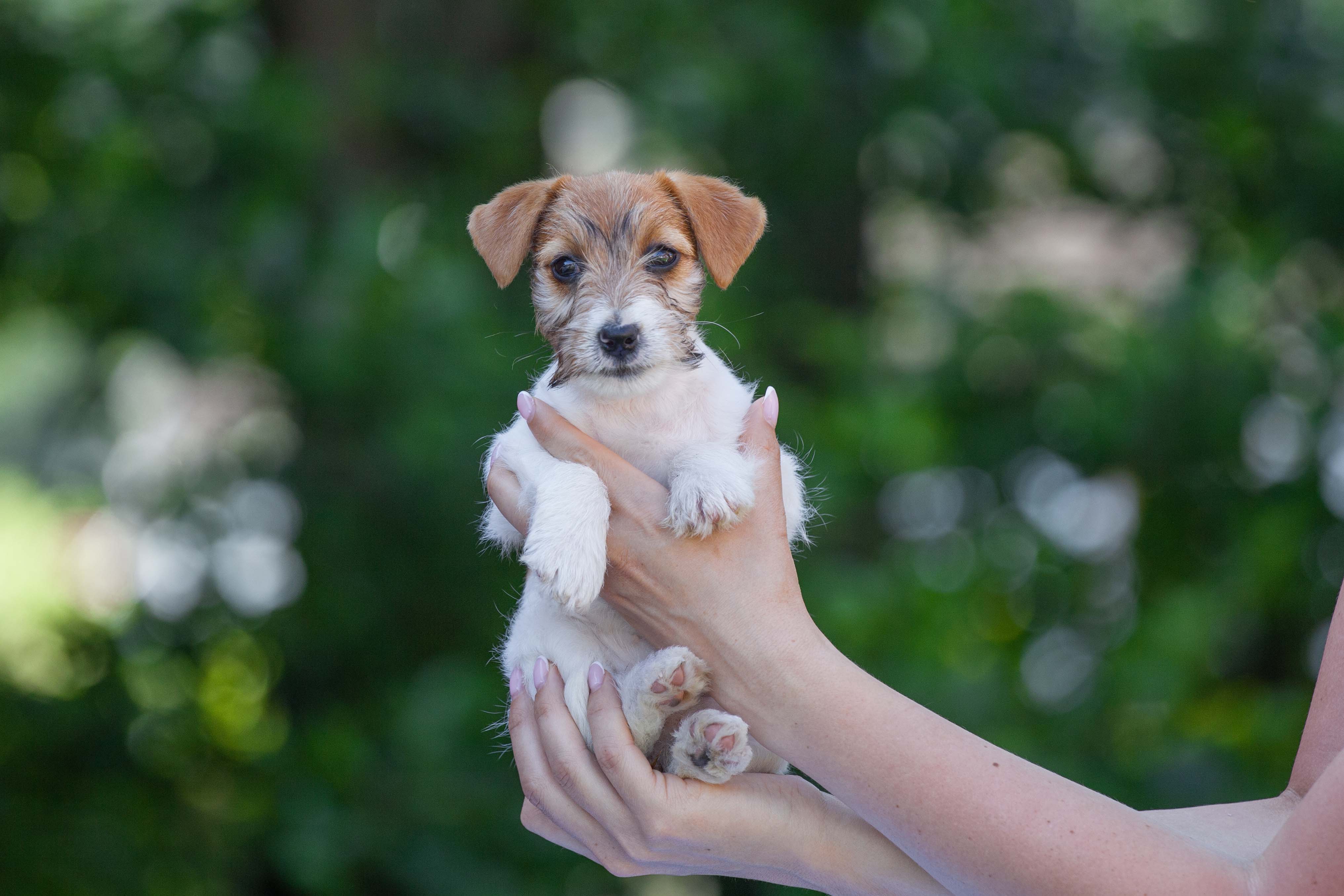 Altolivello’s Return 2 Sender Altolivello’s Return 2 Sender