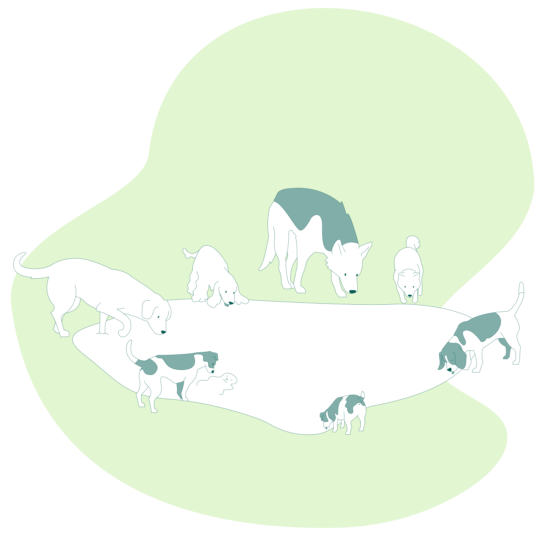 Hvorfor heter vi Pond?