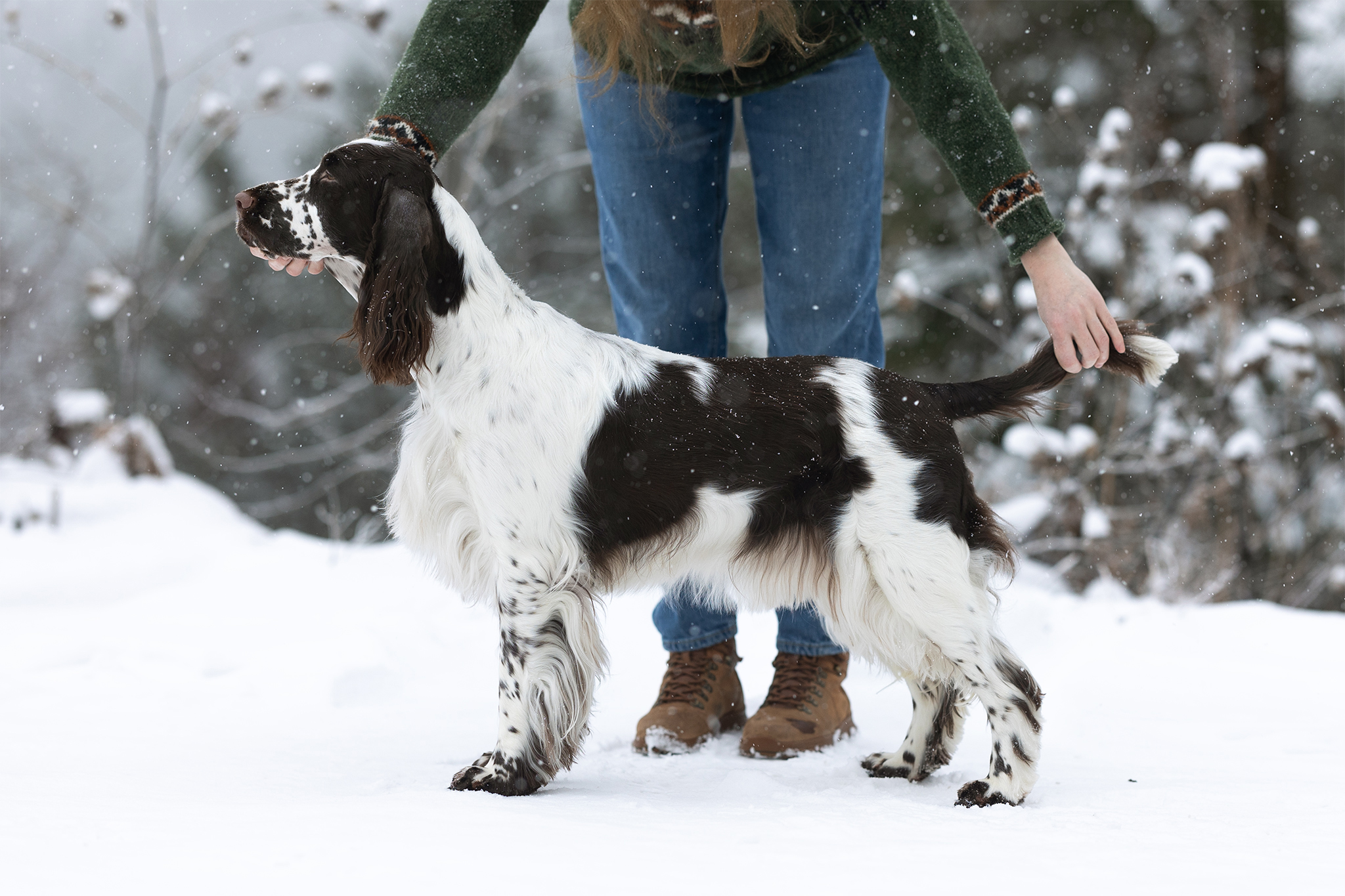 Ninetales The Legend Of Dratini