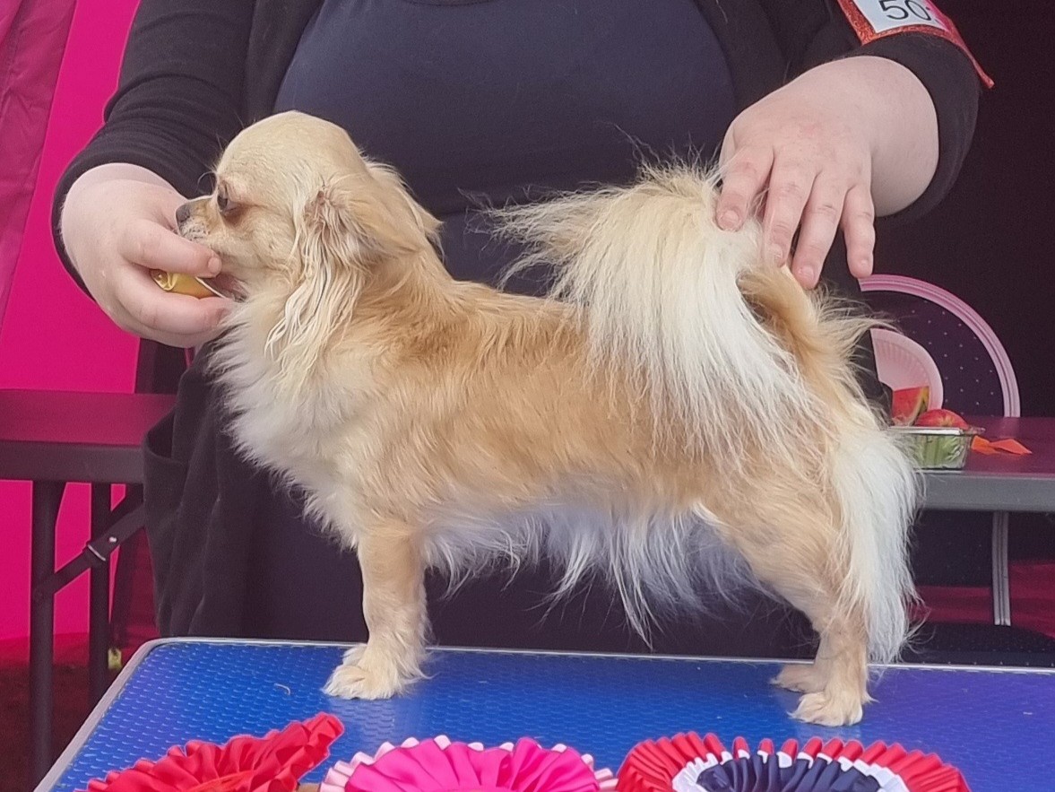 Maffitan's Pure L'Amour 