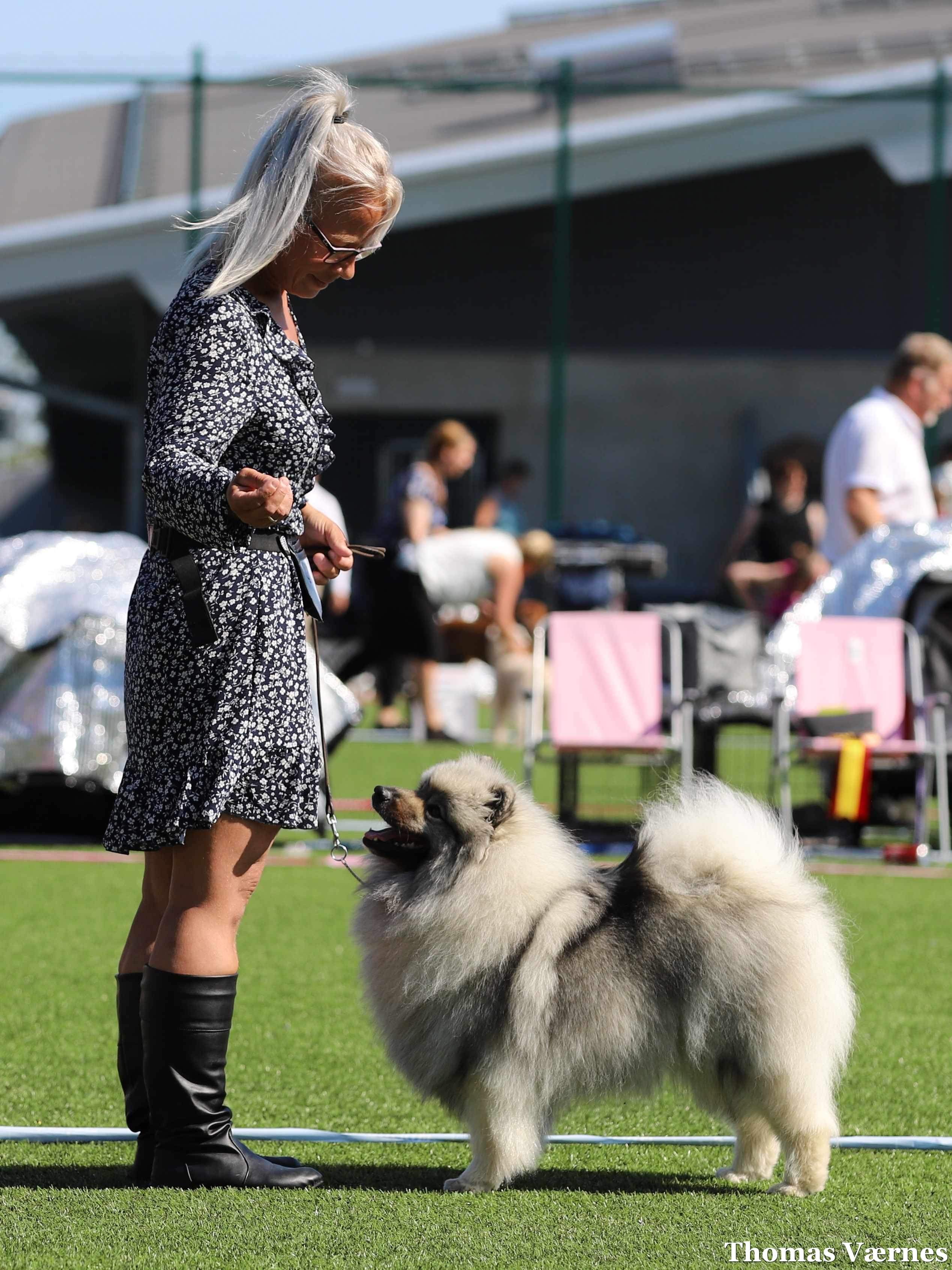 Line Knutshaug Line Knutshaug