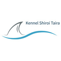 Odd Morten Taagvold Odd Morten Taagvold