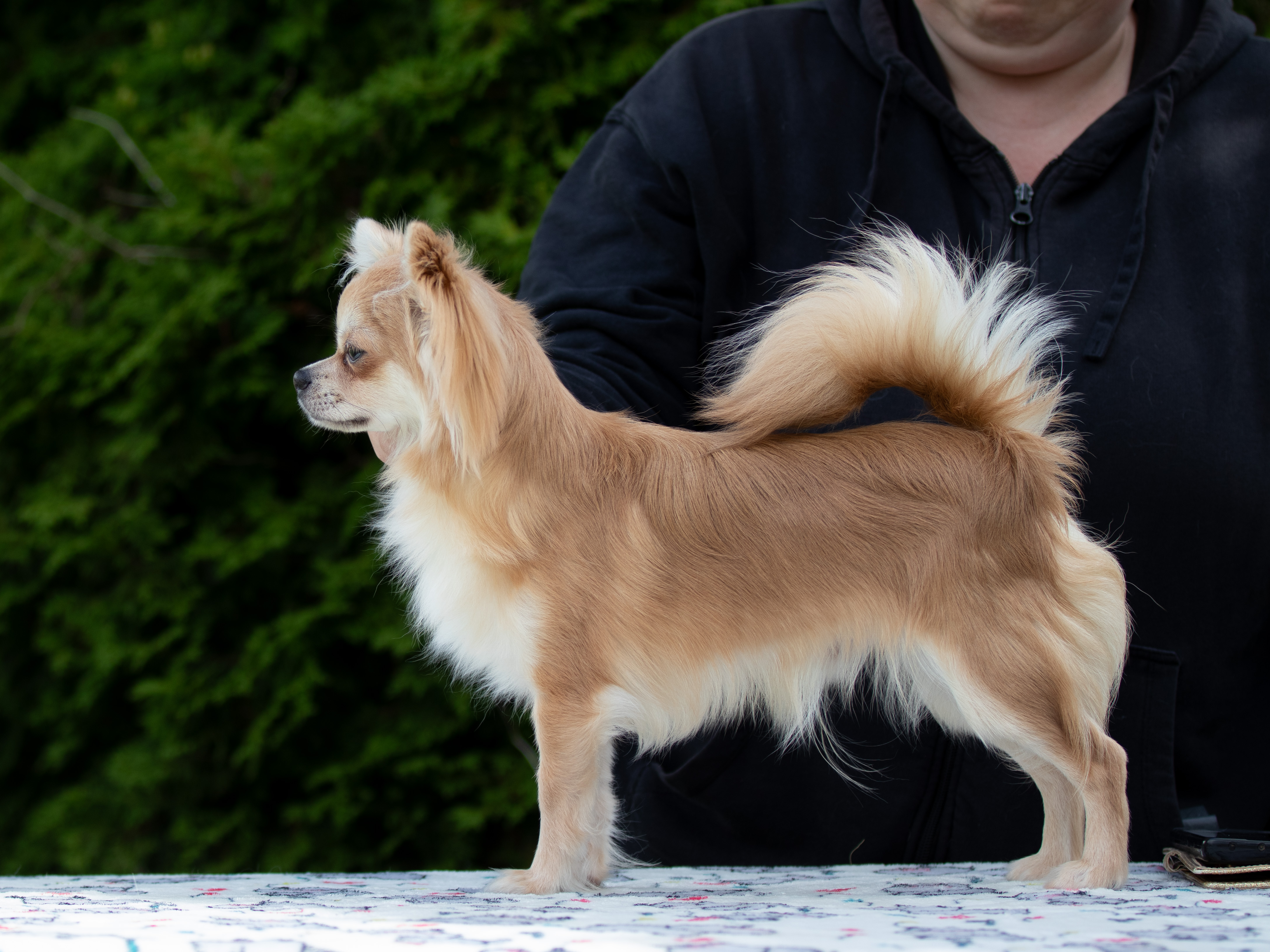 Sweet Cleo's In The Spotlight