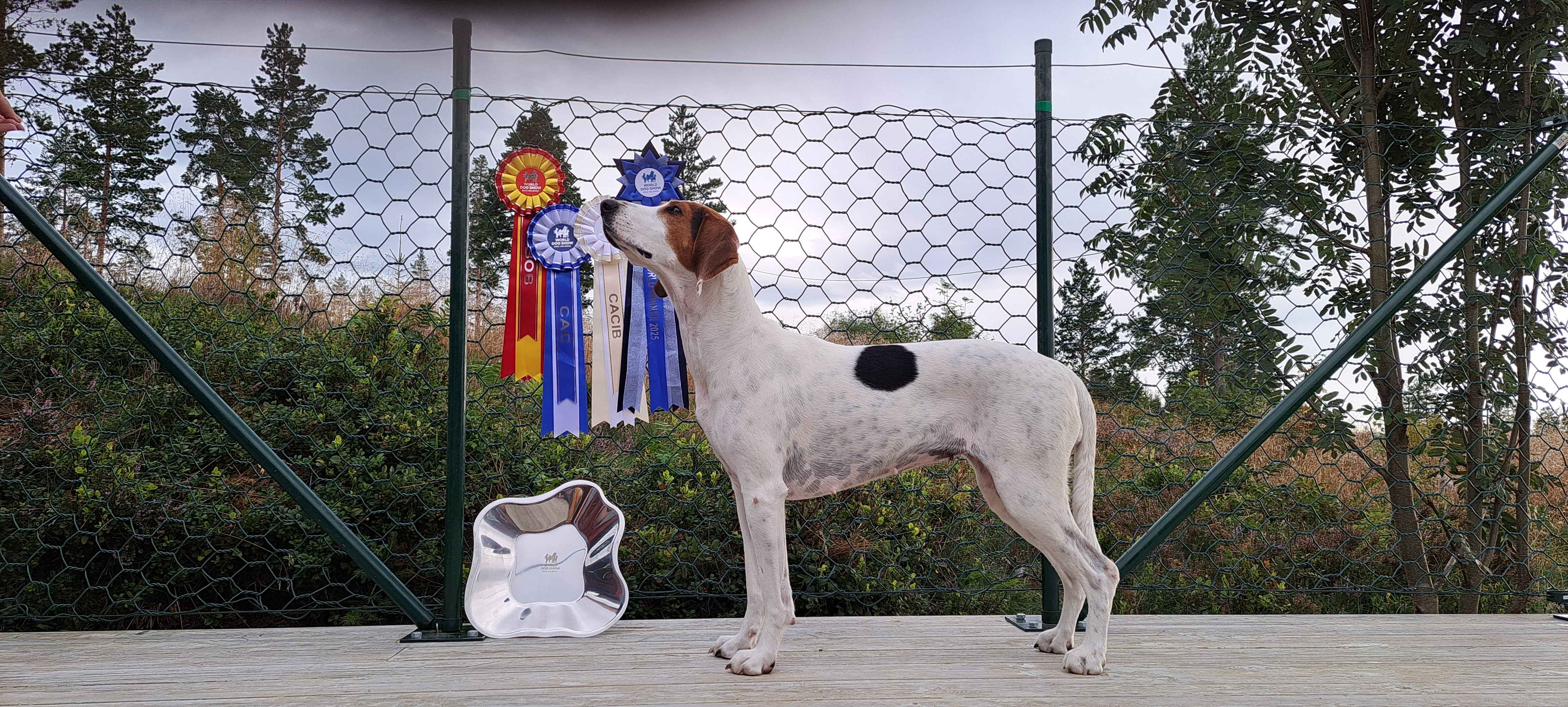 Lykkelosberget Lykkelosberget