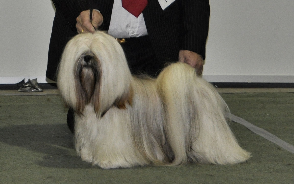 Panaphia's Born To Be a Star Panaphia's Born To Be a Star