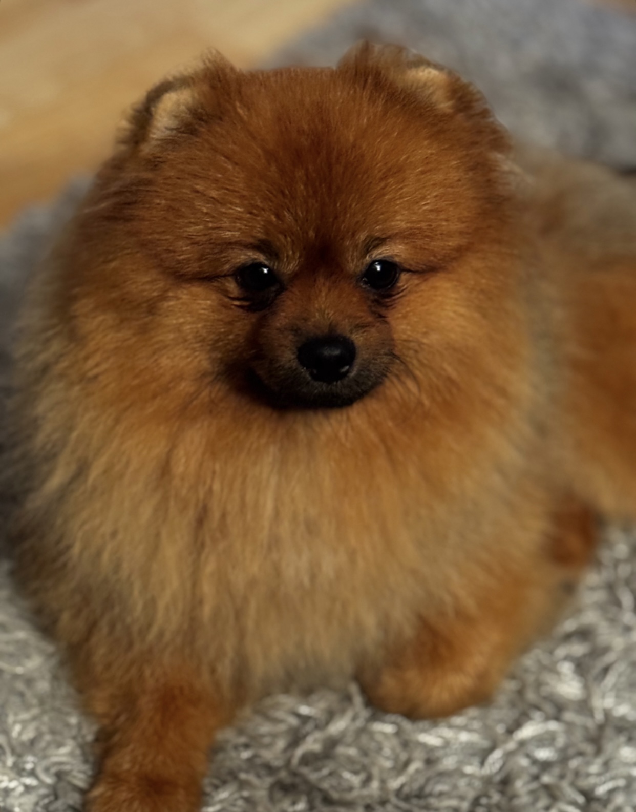 Bilanciato’s Redstone Bilanciato’s Redstone