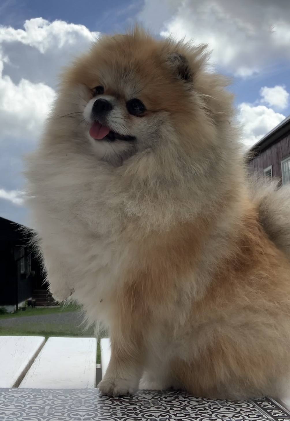 Ta Bozi’s Hold Me Dear Ta Bozi’s Hold Me Dear