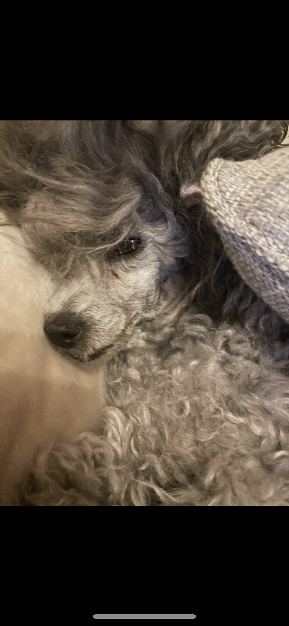 Escada Lucky Me Escada Lucky Me