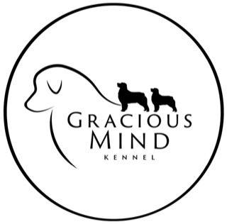 lisa hamre lisa hamre