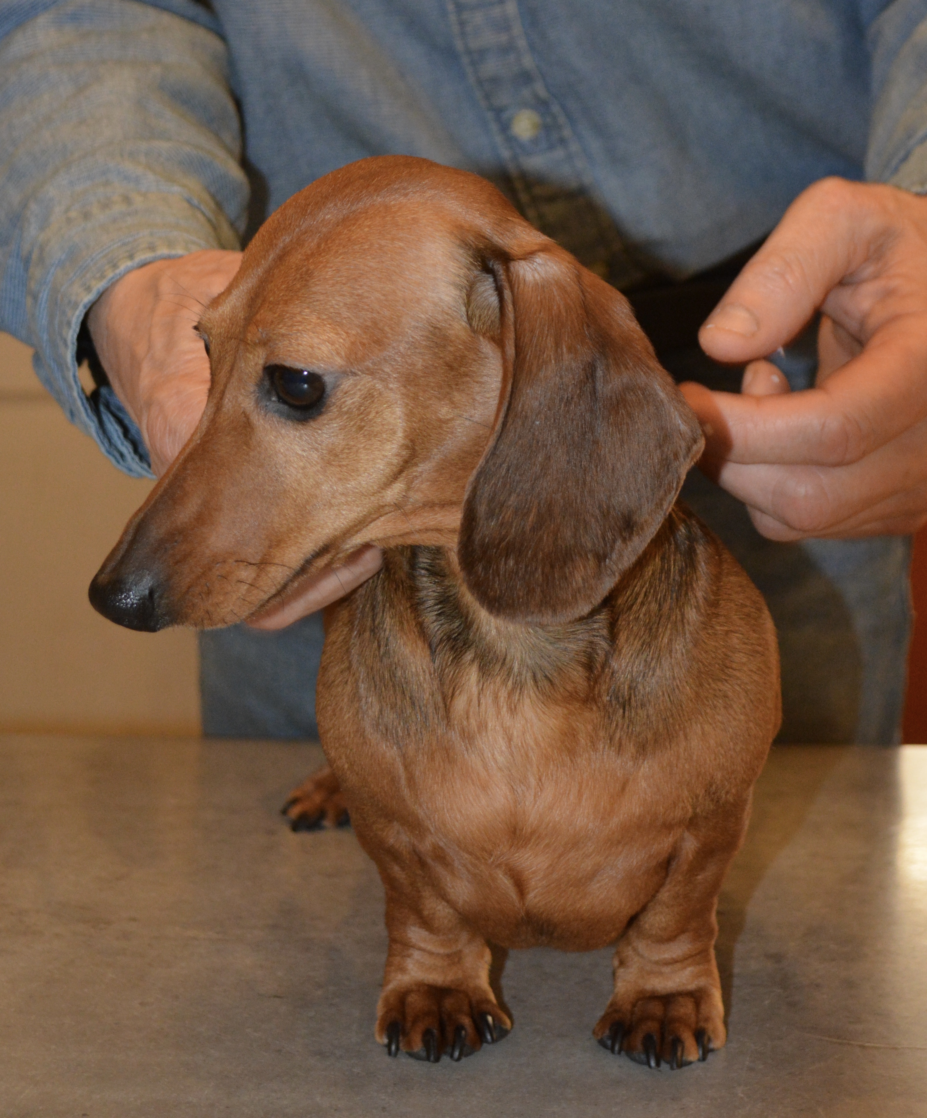 Minstemann’s Honolulu Minstemann’s Honolulu