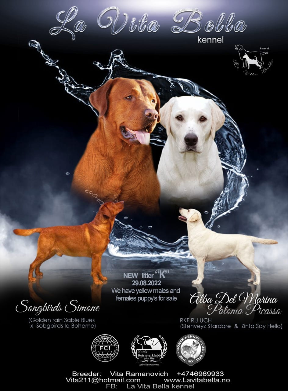 Viktoriya Ramanovich Viktoriya Ramanovich