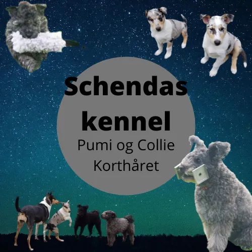 Inger Roland Inger Roland