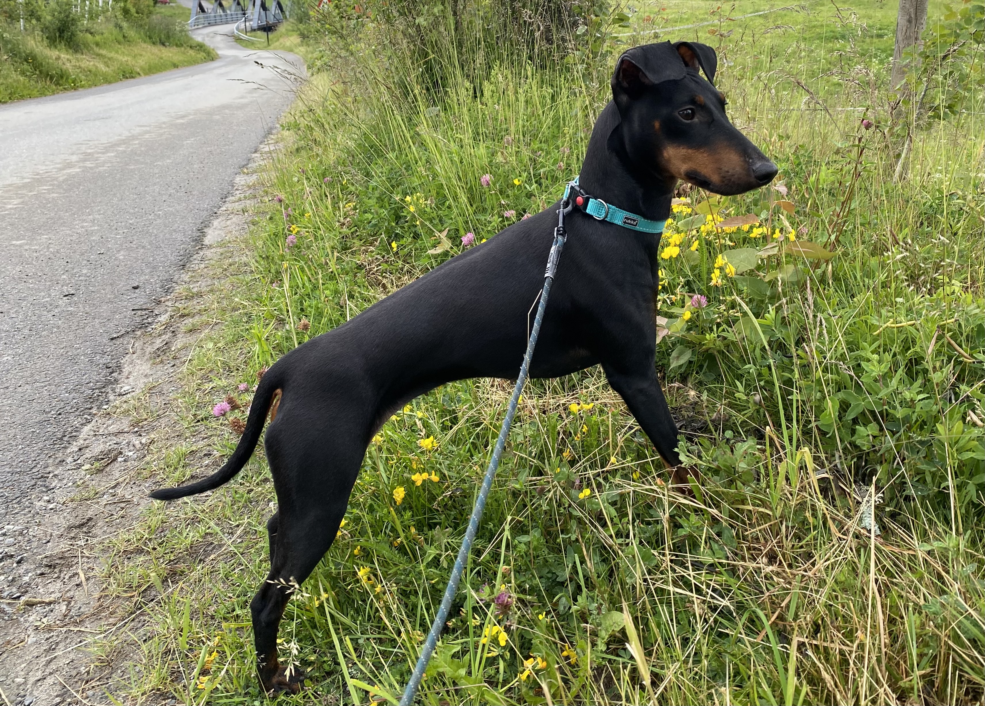 Ada Marie Yssen Ada Marie Yssen