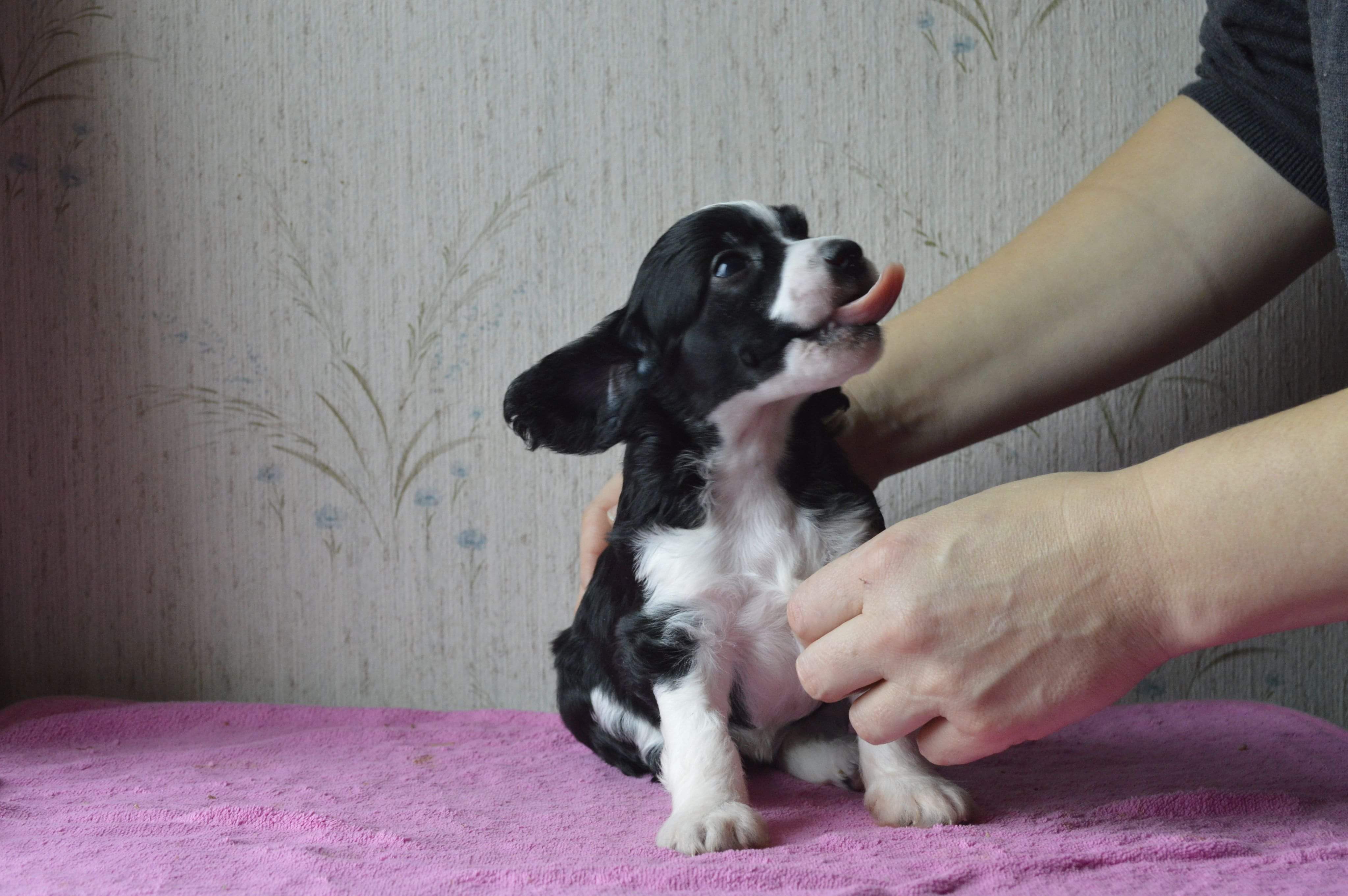 Girls Girls Nordic Nova - Molly Girls Girls Nordic Nova - Molly