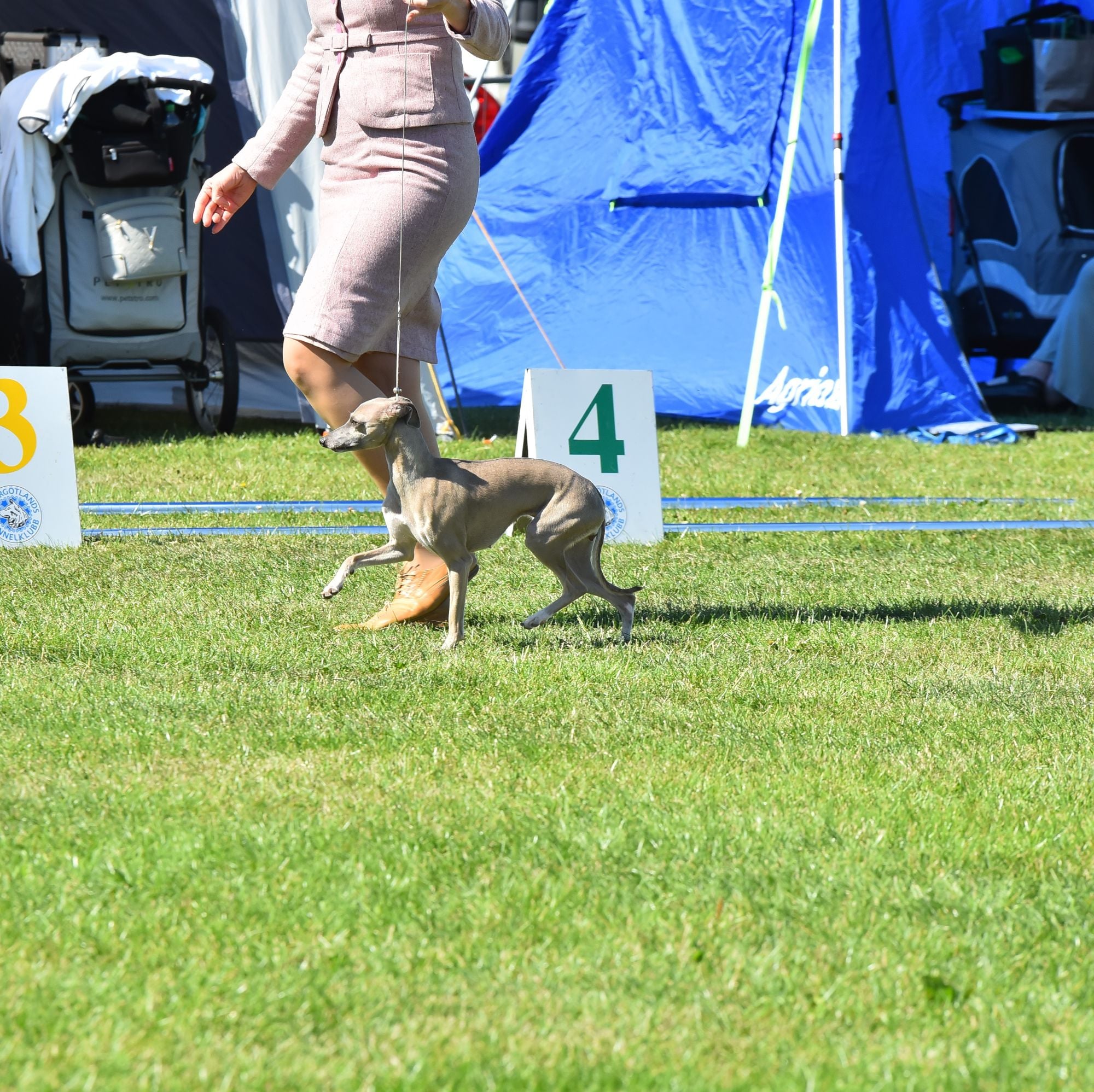 Bey the Dauntless Bey the Dauntless