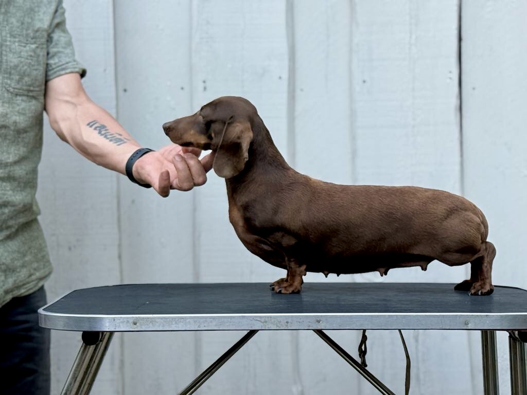 Minstemann’s X-ellent Minstemann’s X-ellent