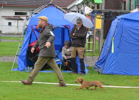 Kokopellis Ompa Olivia Kokopellis Ompa Olivia