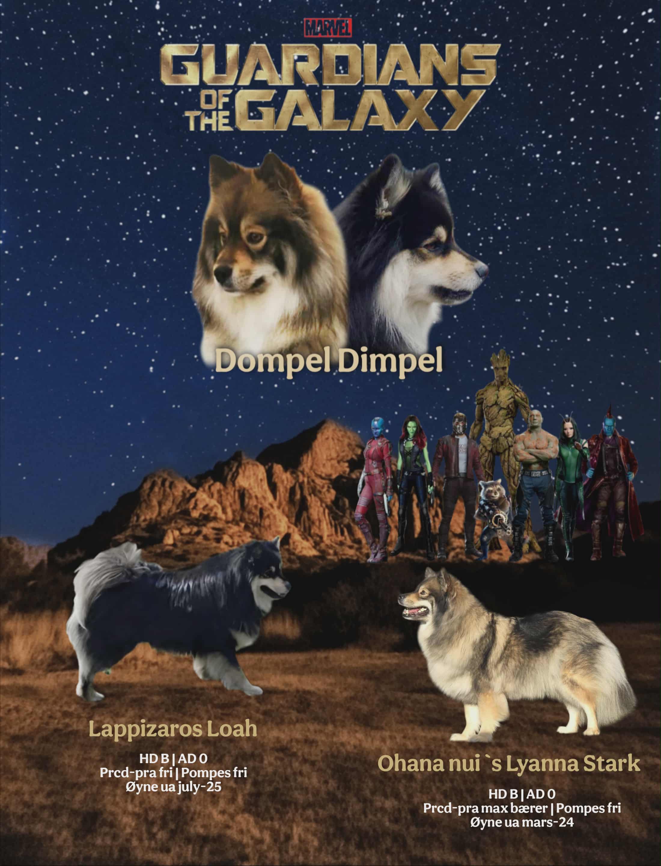 Guardian of the galaxy 