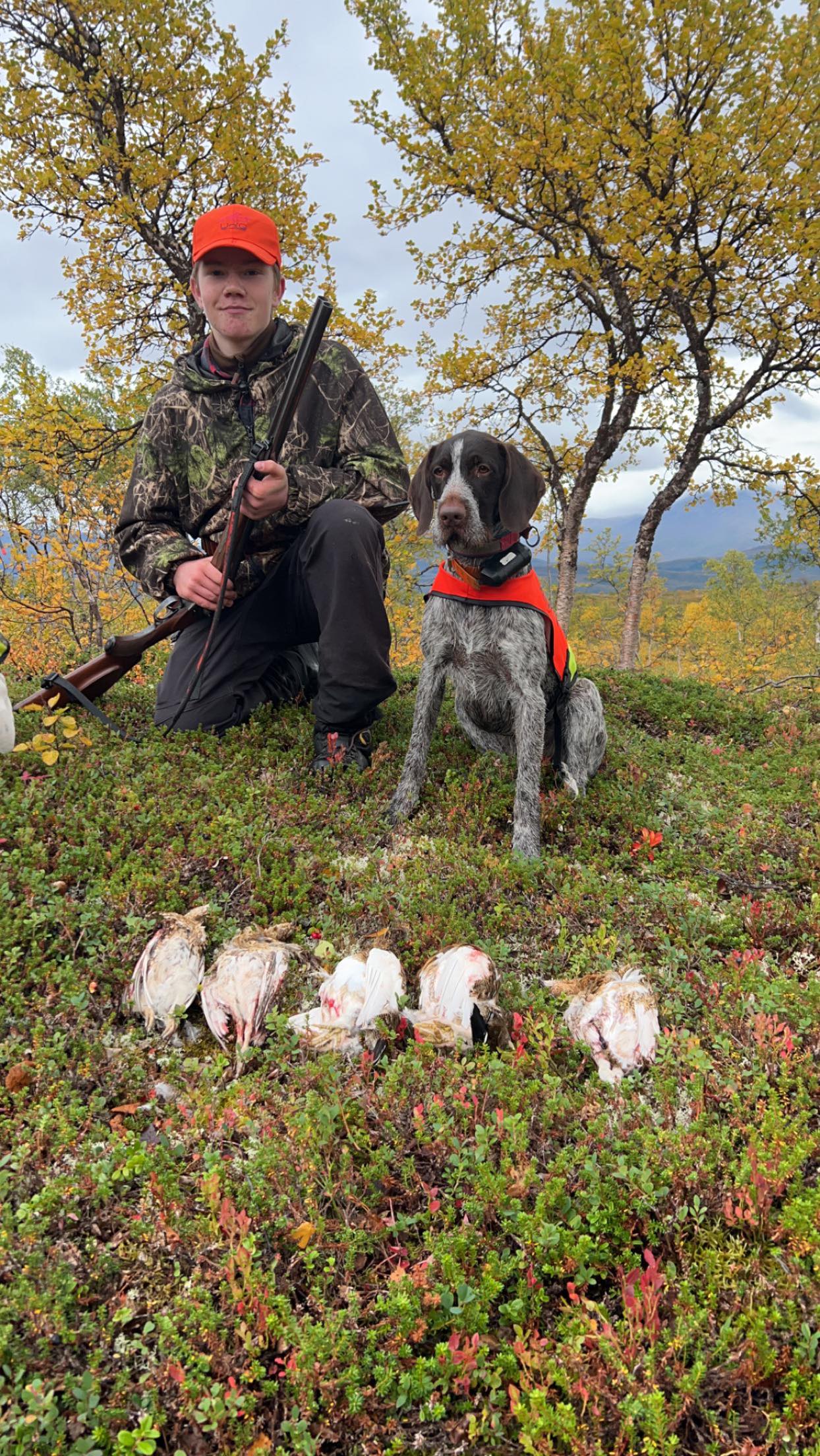 Maya av Lillealm Maya av Lillealm