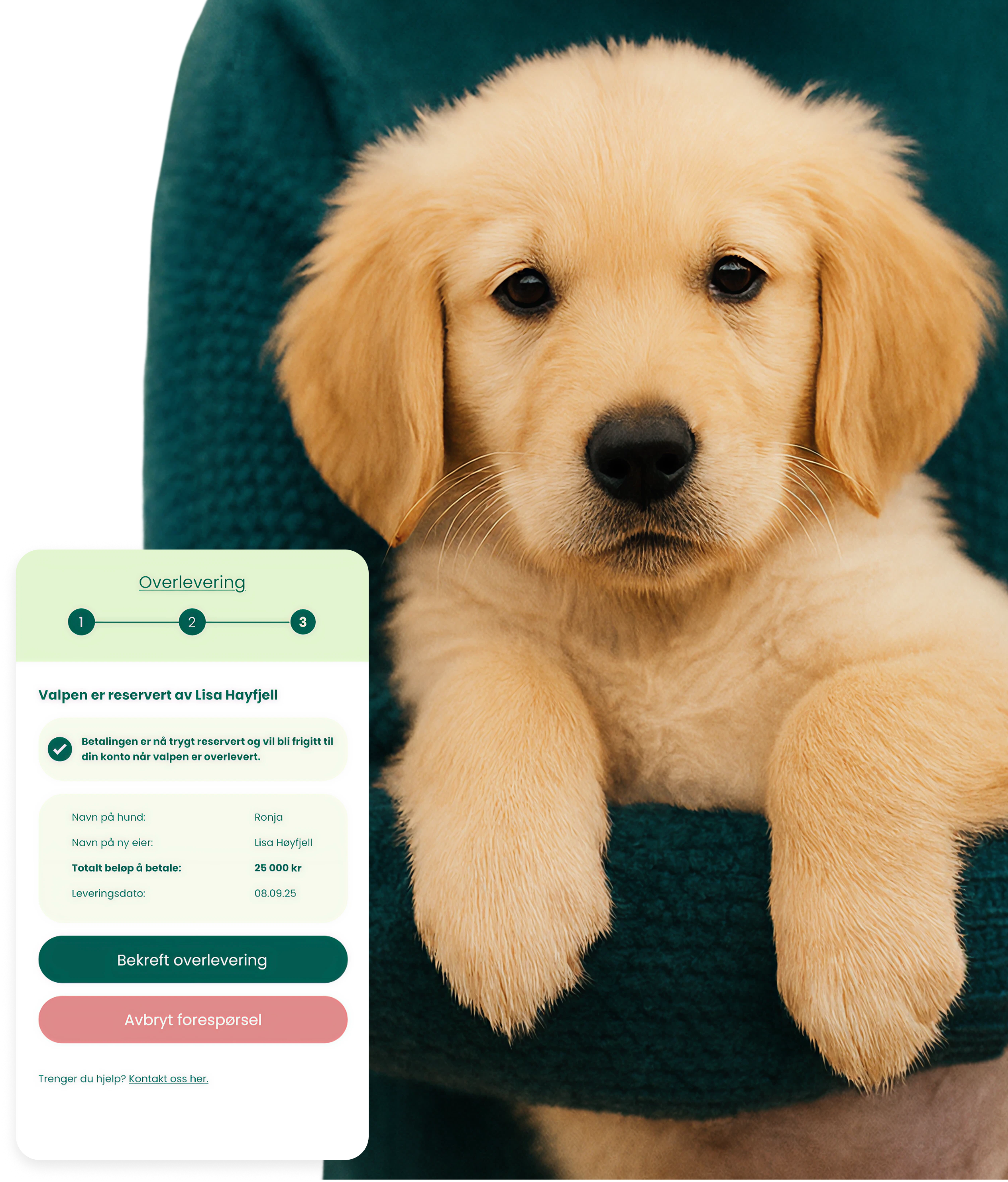 Kjøp av valp skal være trygt – ikke stressende