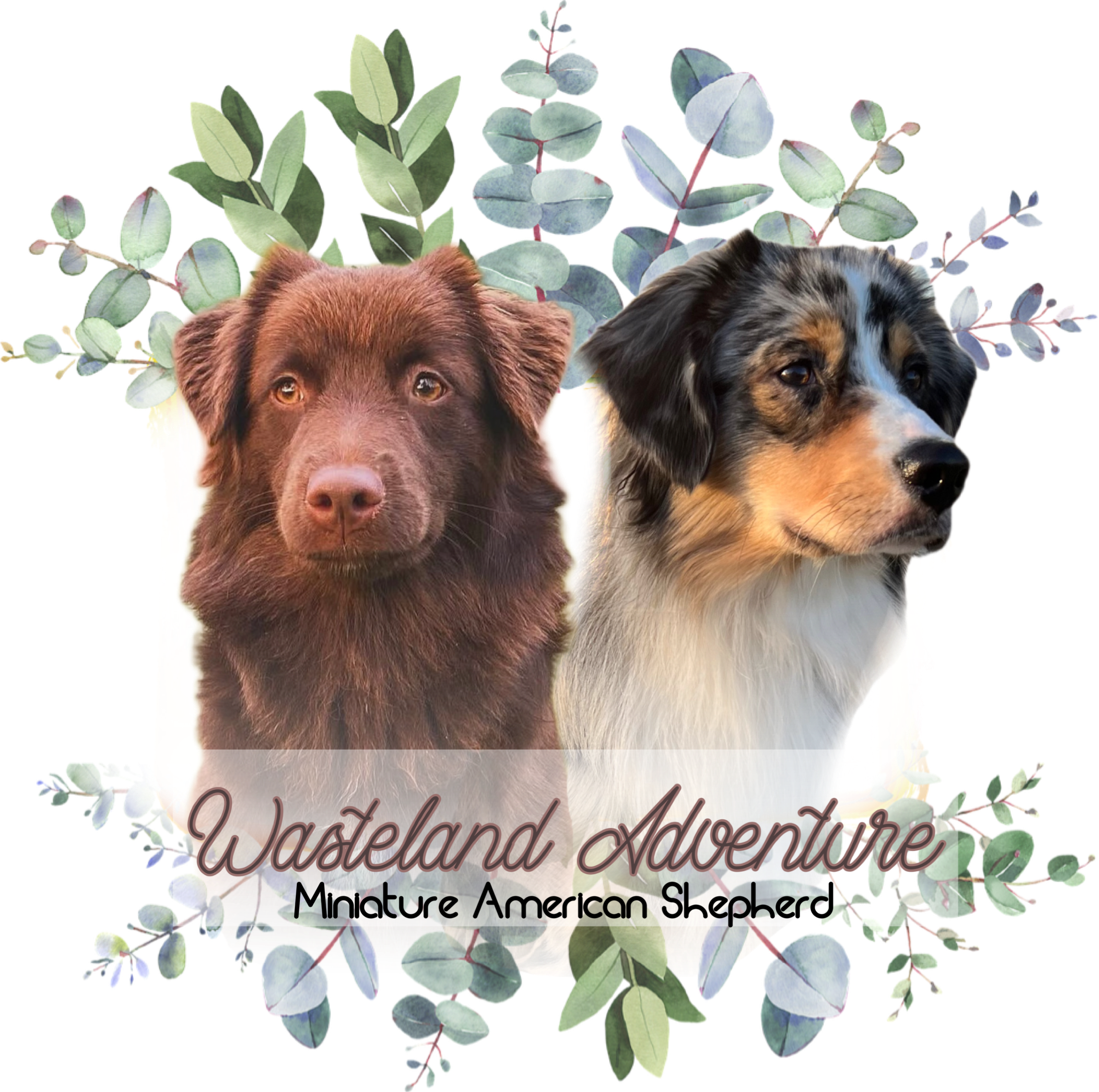 Emilie Ødemark Berge Emilie Ødemark Berge