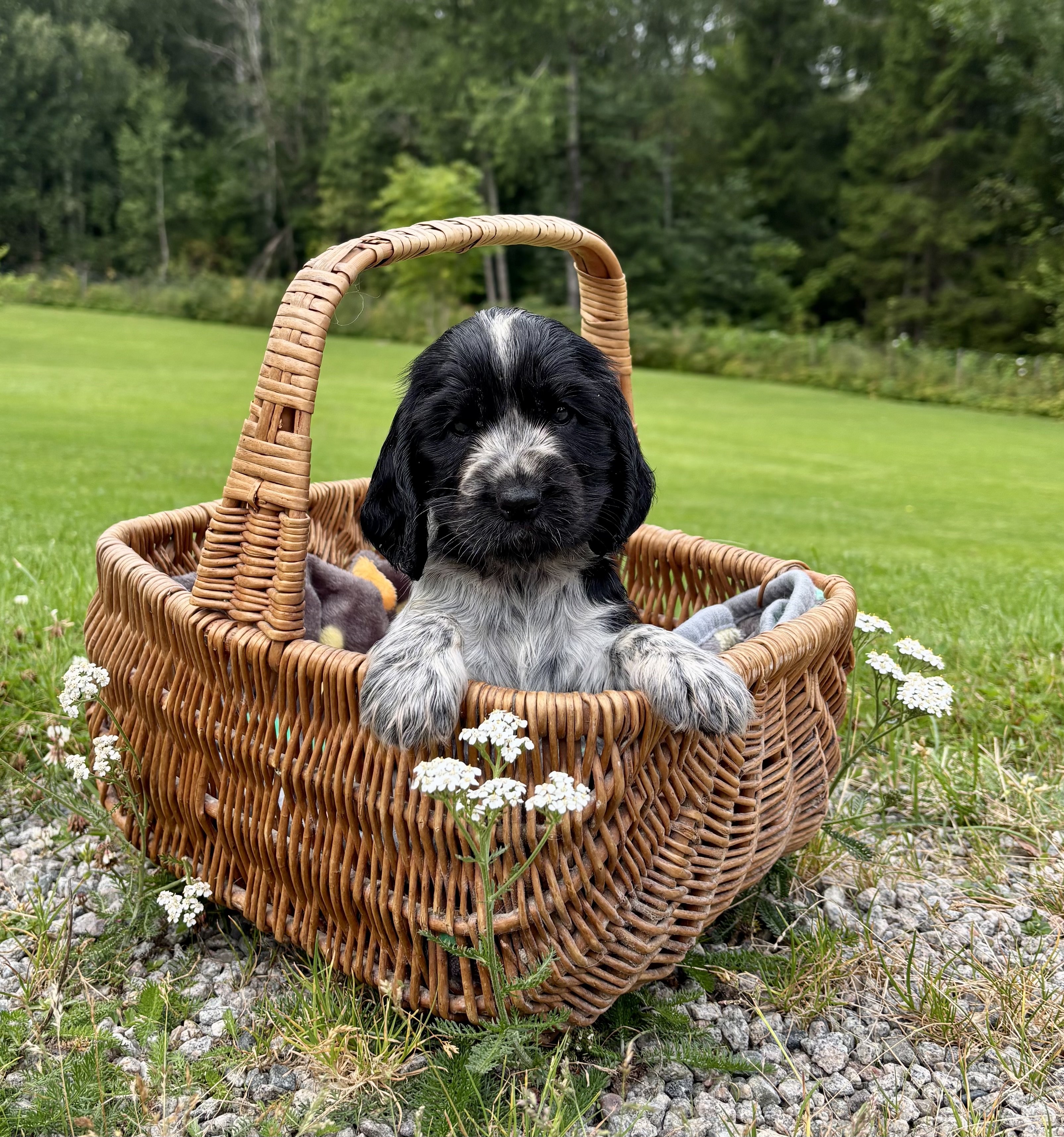 Trine Eriksen Frydenberg Trine Eriksen Frydenberg