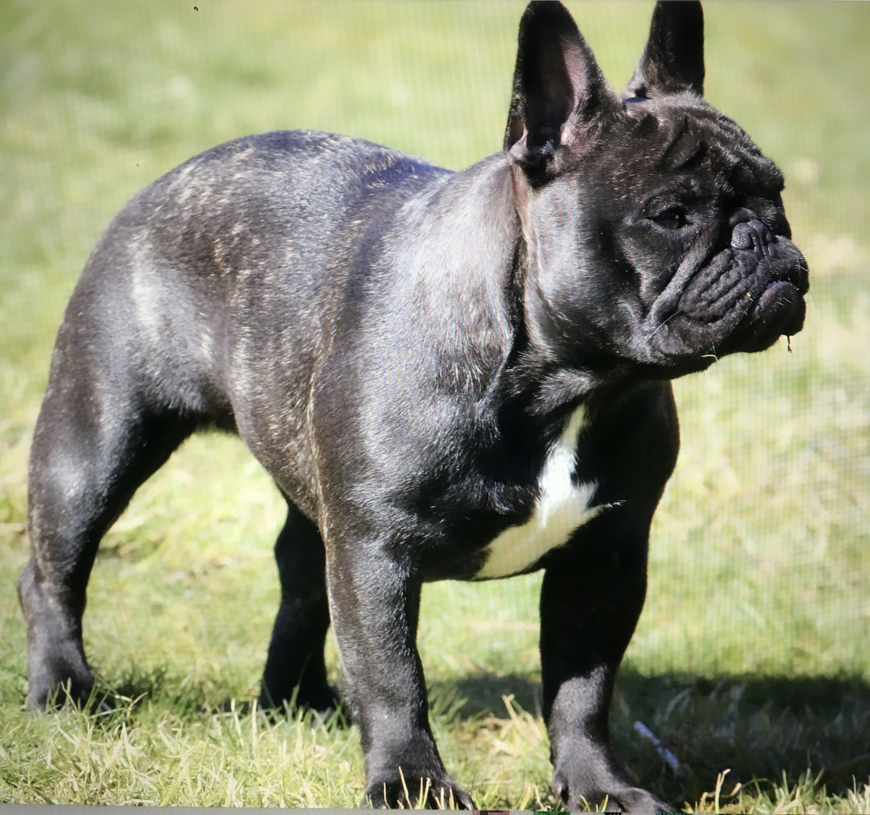 Koquine Zomiranos Koquine Zomiranos