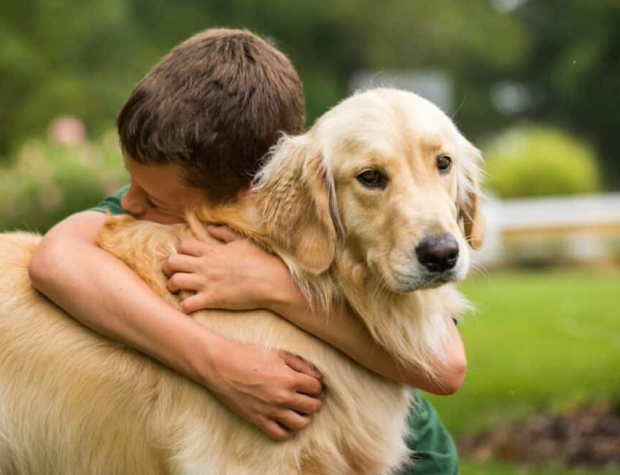Ofte stilte spørsmål