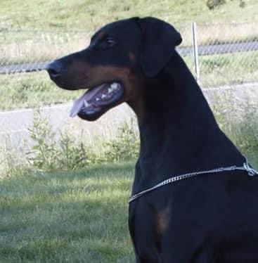 Iztaris Armaros Iztaris Armaros