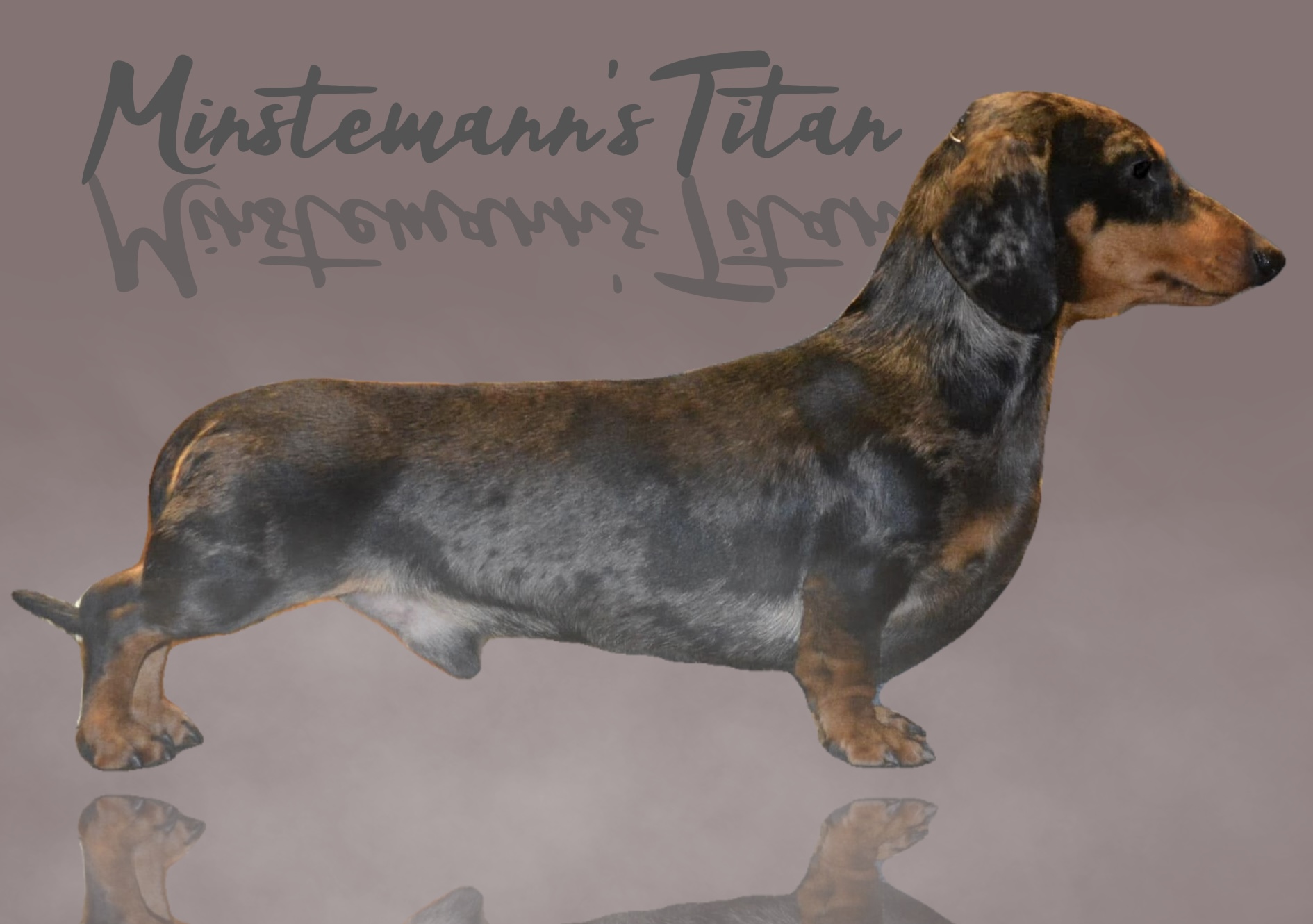 Minstemann’s Titan Minstemann’s Titan