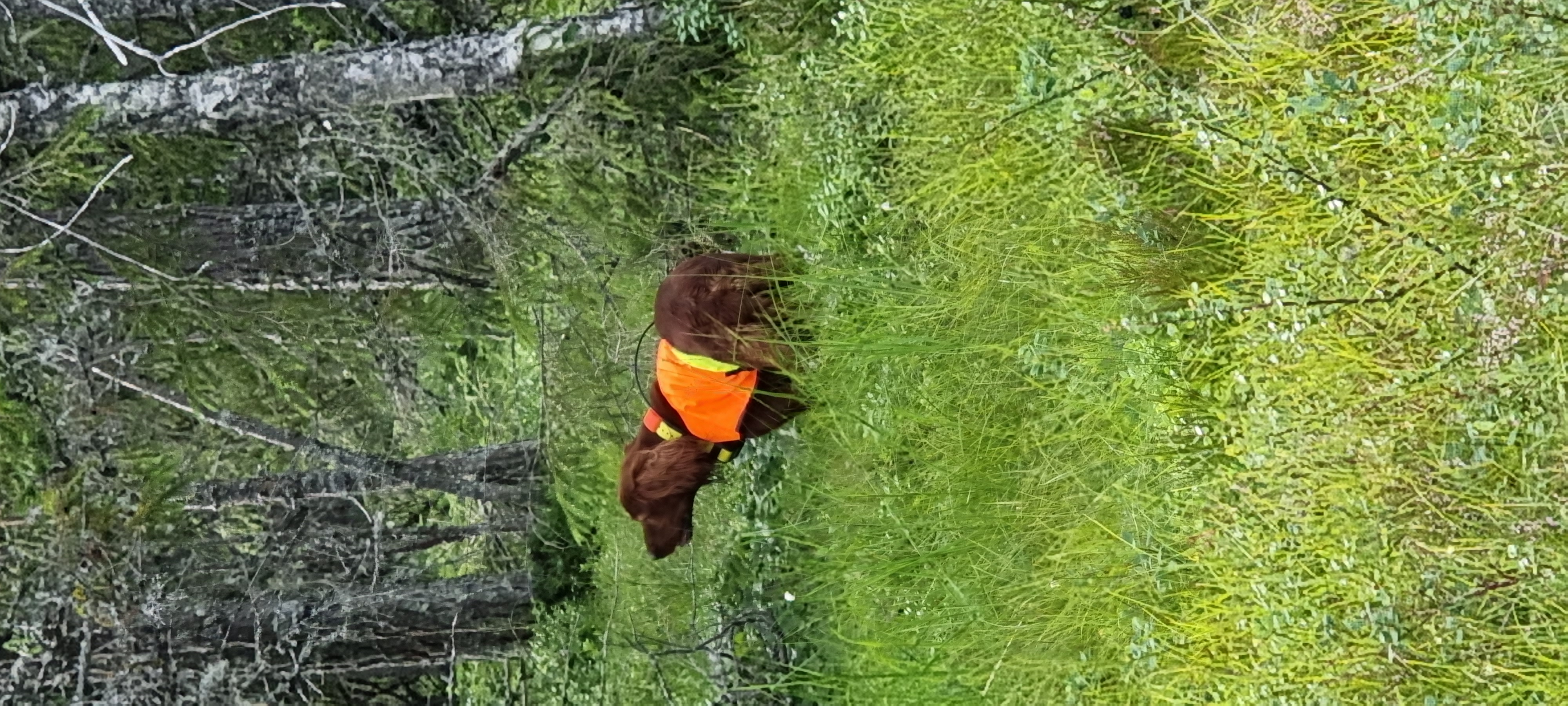 Skardfjellets Kilkenny Skardfjellets Kilkenny