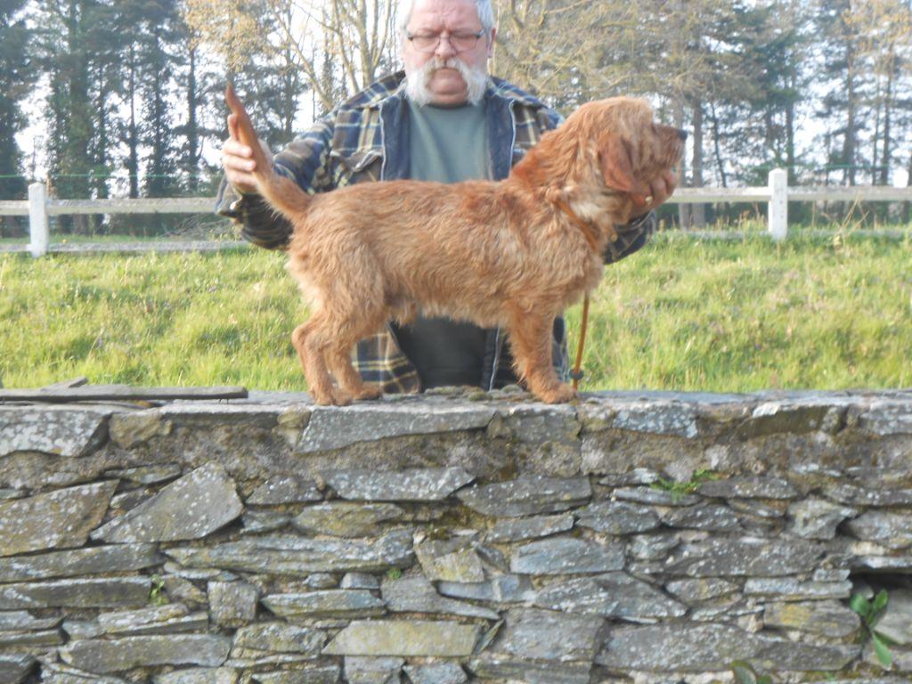 Jumbo de La Fontaine du Baconnet Jumbo de La Fontaine du Baconnet
